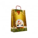 Punga cadou hartie , Sacosa cadou hartie, 22x10x32 cm, model CRACIUN5, set 20 bucati
